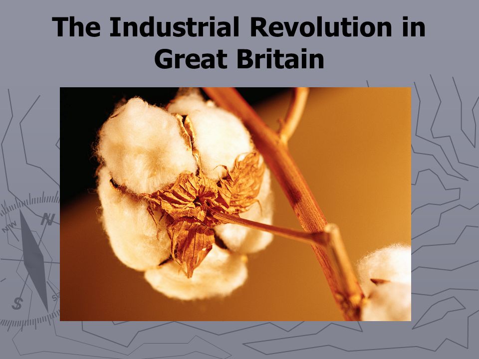 Effects of the Industrial Revolution